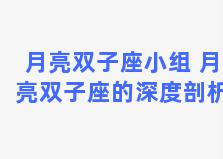 月亮双子座小组 月亮双子座的深度剖析